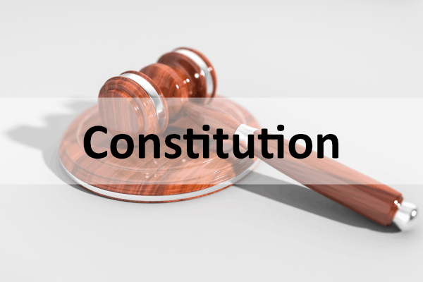 constitution 600x400